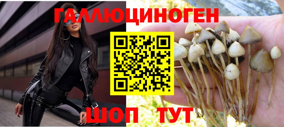 Аргун  Галлюциногенные грибы ЛСД  Вход с VPN  Псилоцибиновые грибы мицелий 